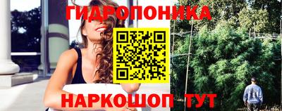 тгк Жуковский