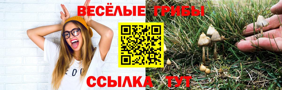 Галлюциногенные грибы Magic Shrooms Троицк